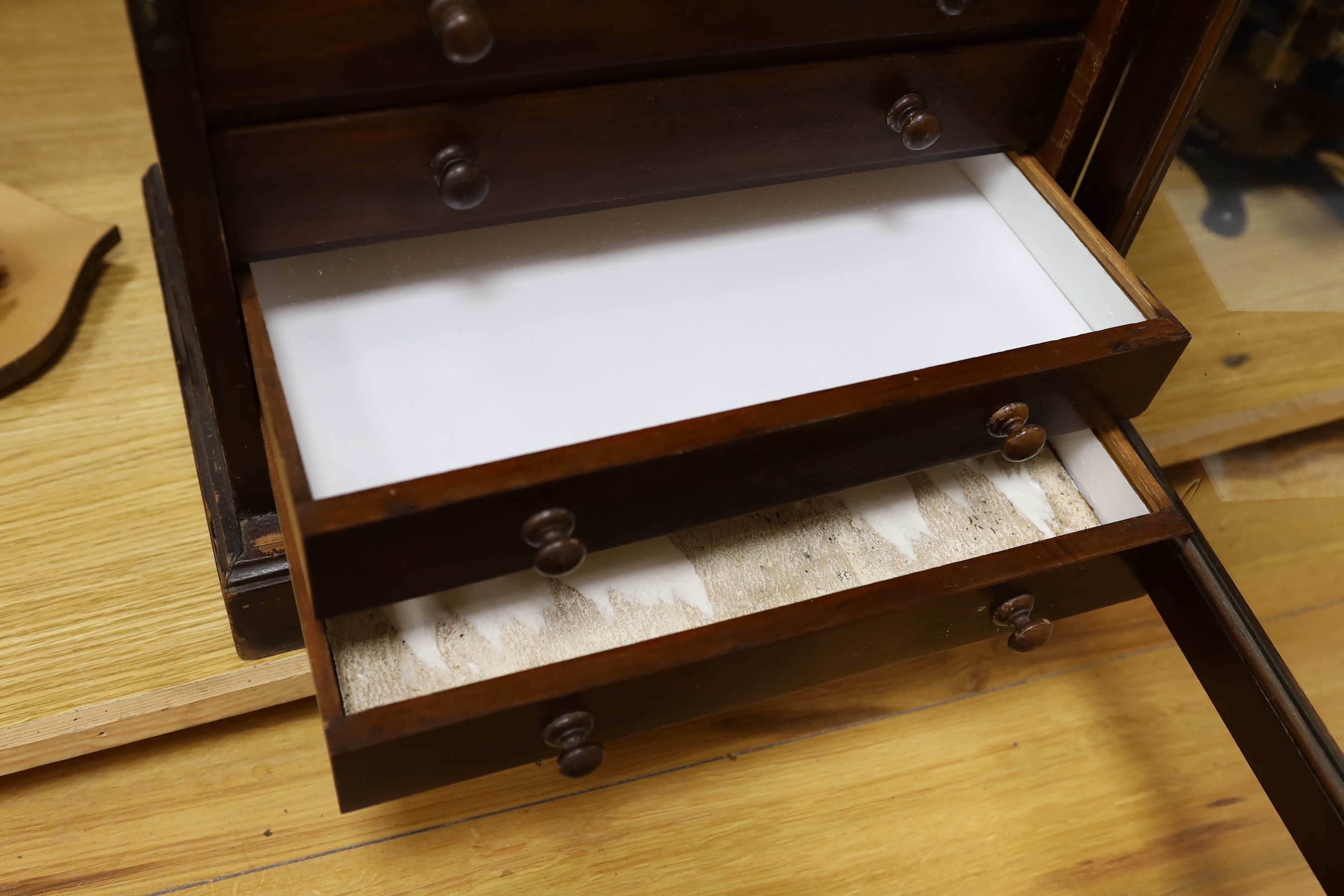 An early 20th century mahogany collector's cabinet, 51 cm high, 42 cm wide